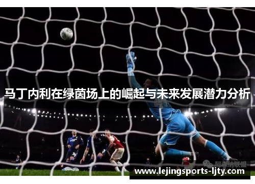 马丁内利在绿茵场上的崛起与未来发展潜力分析